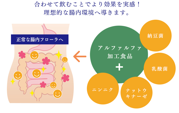 合わせて飲むことでより効果を実感！理想的な腸内環境へ導きます。